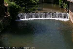 le Gapeau à Solliès-Pont