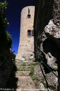 le Vieux Château de Tourtour