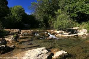 le caramy à Tourves