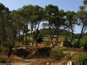 le site du château de Cadenet