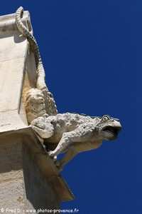 gargouilles de la collégiale Notre-Dame-des-Anges