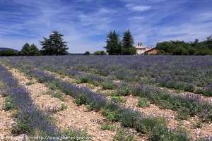 hameau de Saint-Jean à Sault
