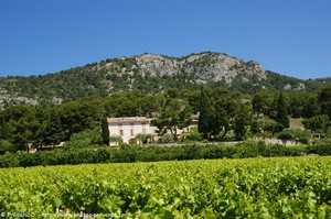 le Graveyron