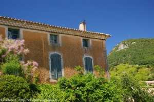 Suzette dans le Vaucluse