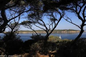vue sur l'&icirc;le de Bagaud