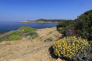 vue depuis la pointe de la Malalongue