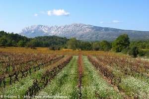 la Sainte-Victoire vue depuis les environs du village de Pourri&egrave;res 
