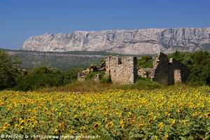 vue de la sainte-victoire &agrave; proximit&eacute; de peynier