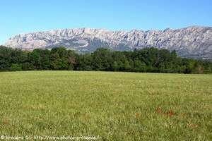 vue de la sainte-victoire entre pourri&egrave;res et peynier