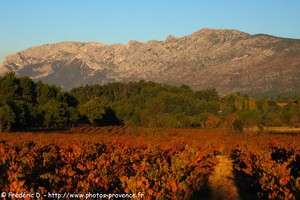 paysages d'automne autour de la sainte-victoire dans les environs de pourri&egrave;res