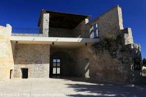 le ch&acirc;teau de Carc&egrave;s