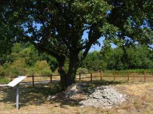 la st&egrave;le de marius caius