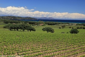 vue sur la plage de Pampelonne et le massif de l'Est&eacute;rel