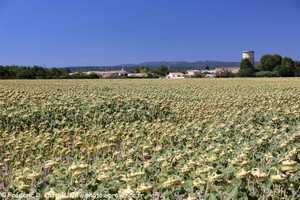 Lapalud dans le Vaucluse