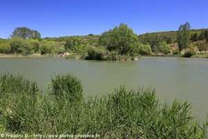 lac de Monieux 
