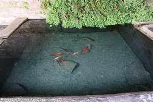 le lavoir de Saumane de vaucluse